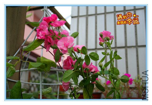 ��Ƭ 027_����.jpg