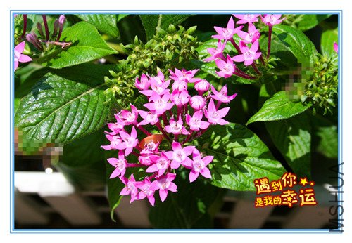 ��Ƭ 021_����.jpg