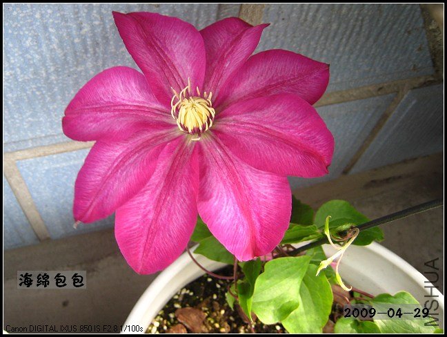 20090429_004d18931e5134cd9e11KuHei5P4tdWv.jpg