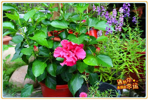 ��Ƭ 004_����.jpg