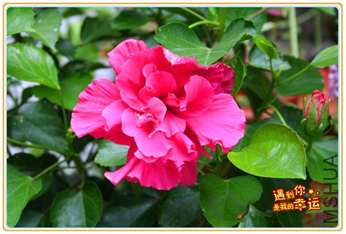 ��Ƭ 005_����.jpg