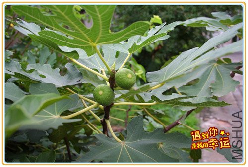 ��Ƭ 023_����.jpg