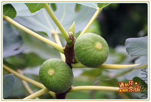 ��Ƭ 027_����.jpg