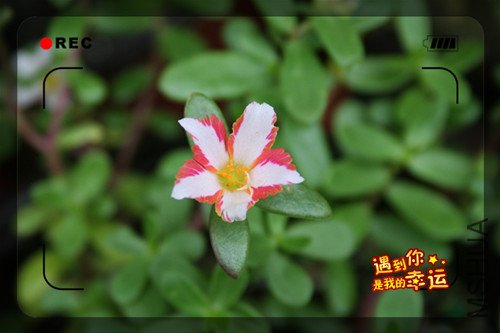 ��Ƭ 019_����.jpg