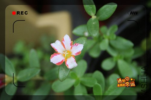 ��Ƭ 020_����2.jpg