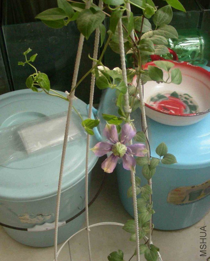 DSCN8132.JPG
