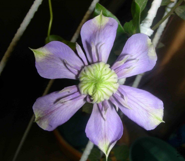 DSCN8134.JPG
