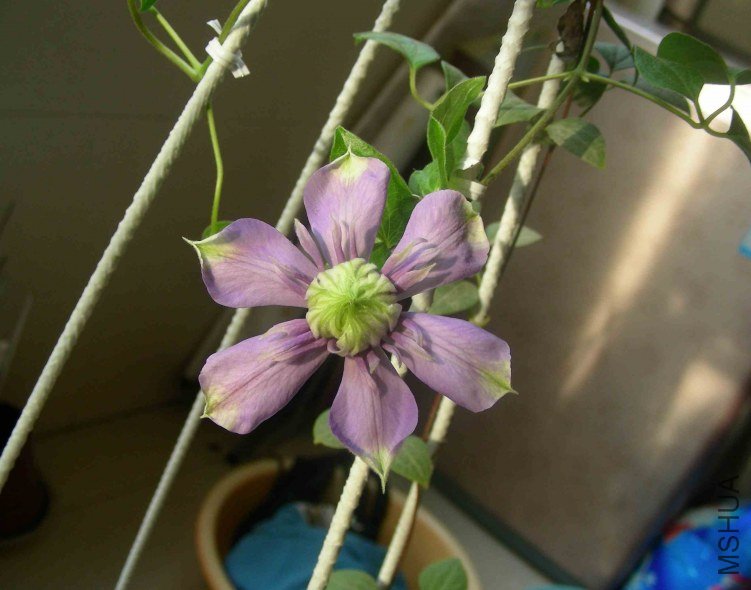 DSCN8135.JPG