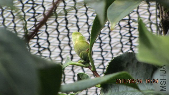 IMG_0331.jpg