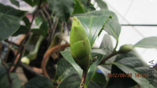IMG_0326.jpg