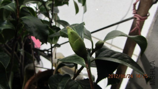 IMG_0325.jpg