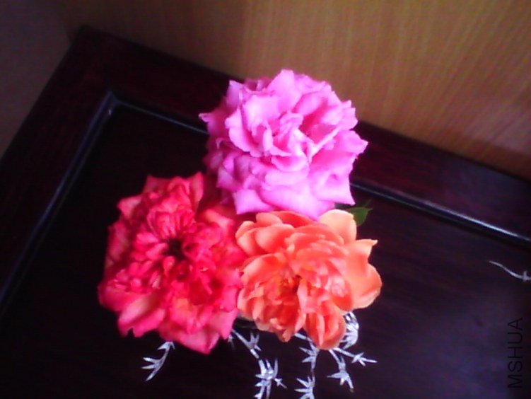 image20120825_082902.jpg