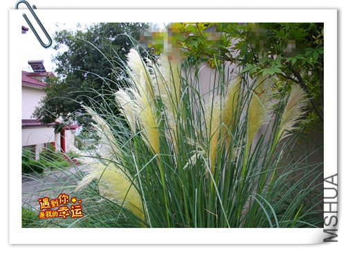 ��Ƭ 003_����.jpg