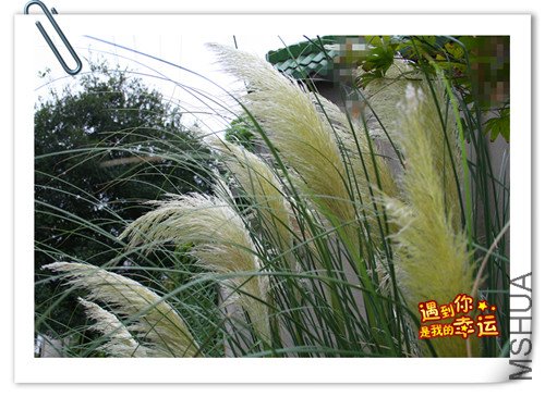 ��Ƭ 006_����.jpg