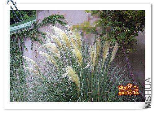 ��Ƭ 018_����.jpg