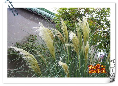 ��Ƭ 020_����.jpg