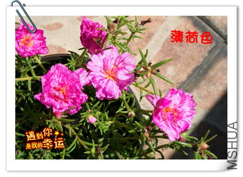 ��Ƭ 062_��ת_����.jpg