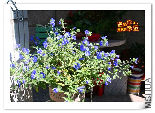 ��Ƭ 131_����.jpg