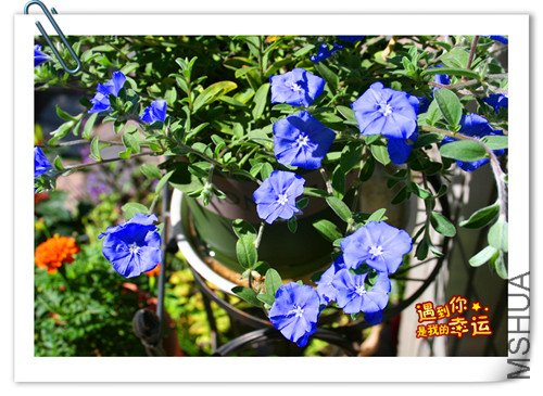 ��Ƭ 090_����.jpg