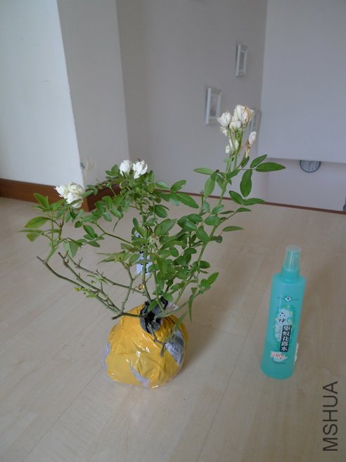 �ö໨.jpg
