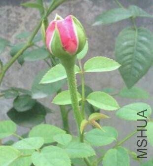 �����ҵ����ɾ��񣬺ܰ�Ŷ