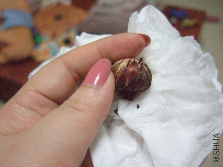 DSCF2724.JPG