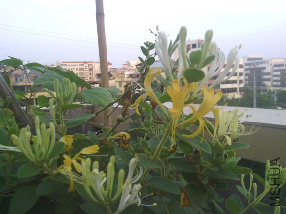 ����������ζ����һ�����ܾܾ���