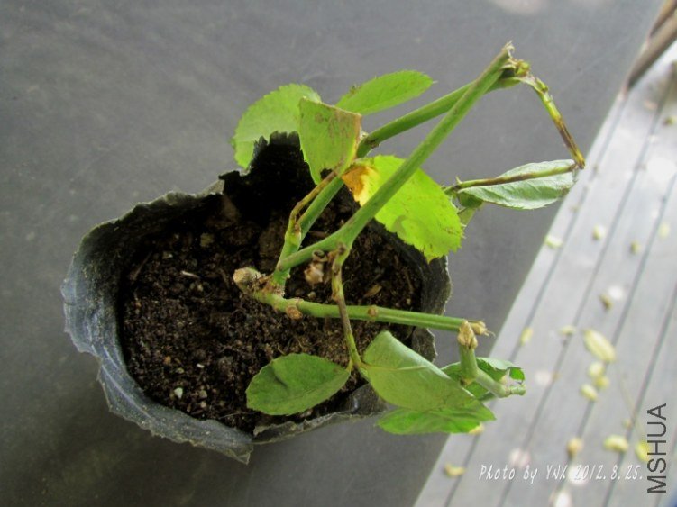 2012.8.25. 023_conew1.jpg