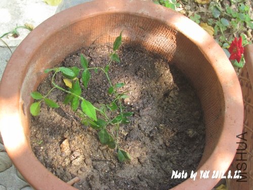 2012.8.25. 038_conew1.jpg