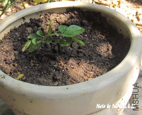 2012.8.25. 040_conew1.jpg