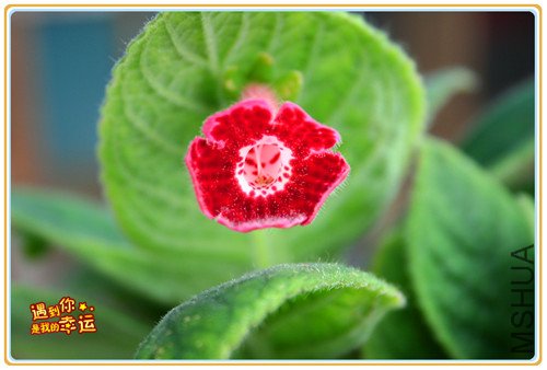 ��Ƭ 009_����.jpg