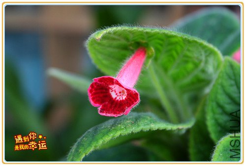 ��Ƭ 011_����.jpg