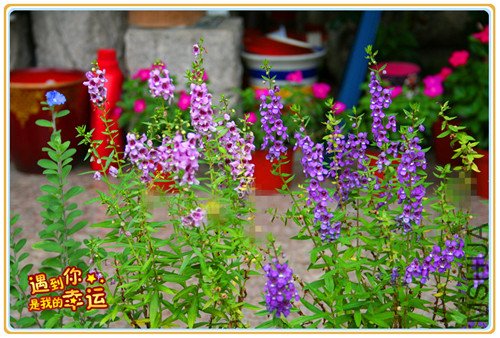 ��Ƭ 043_����.jpg