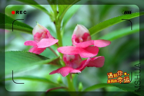 ��Ƭ 018_����.jpg