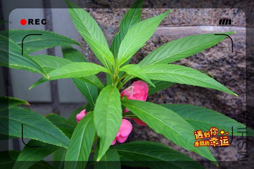 ��Ƭ 024_����.jpg