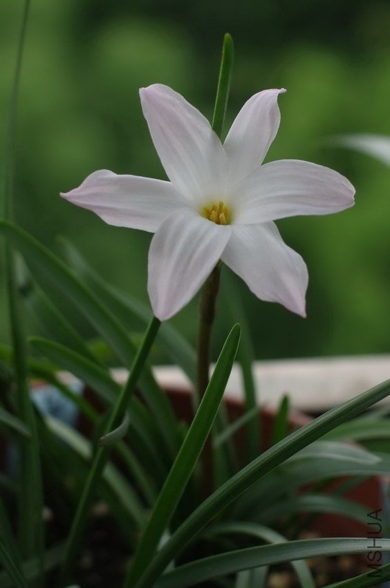 ZQ107750.jpg