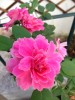 6B76CABB2X9BCAXFJ1E8CAA4WO0KCAUP1N4OCALSFMJ9CANC5AL2CAICUP6PCAFLXO8ACALP4MXNCA1O.jpg
