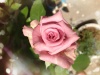 NI14CAW80W3OCAQQSNZHCA0QLKALCATTFP7FCA1PQOC5CAGY0DP2CACEFLZQCA3BE15NCANX6XYOCA1Q.jpg