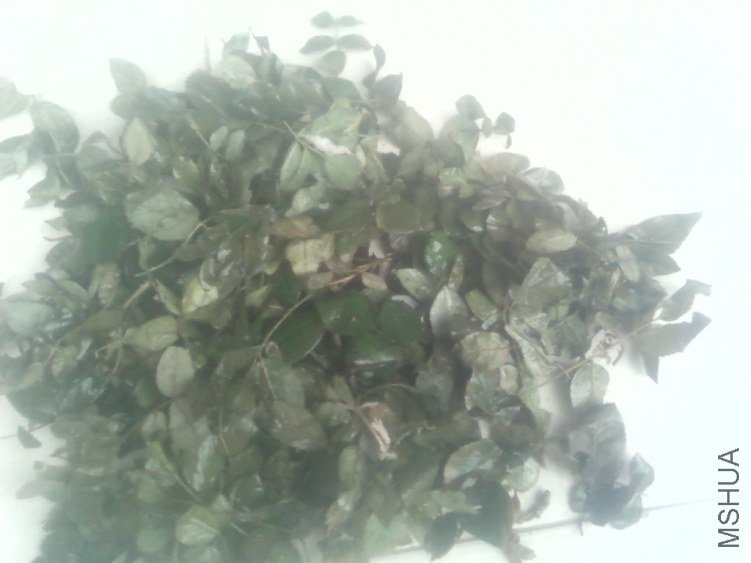 ����̫�壬��Ҳ�ܿ���״̬��֤���Ҳ���Ϲ˵