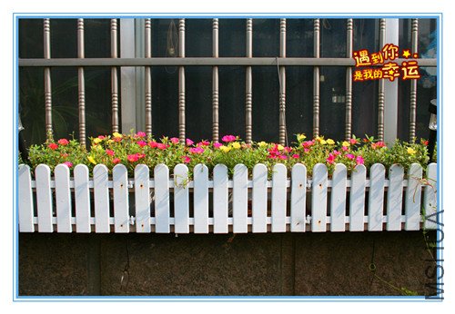 ��Ƭ 027_����22.jpg