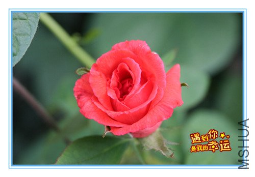 ��Ƭ 007_����1.jpg