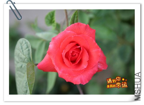 ��Ƭ 009_����.jpg