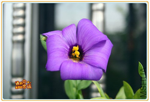 ��Ƭ 003_����2.jpg