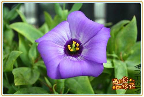 ��Ƭ 005_����2.jpg