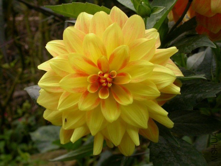 2012-08-27_06-43-49_236.jpg
