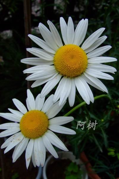 ������������� 2012-0428(016).jpg