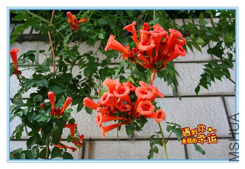 ��Ƭ 004_����.jpg