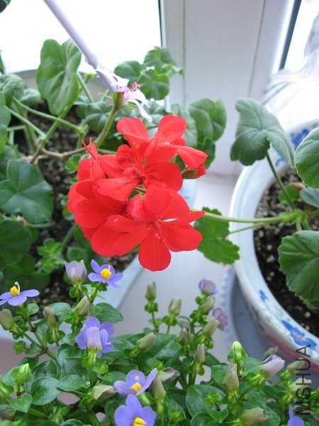 IMG_7028.JPG