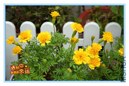 ��Ƭ 025_����.jpg