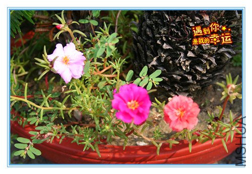 ��Ƭ 025_����22.jpg